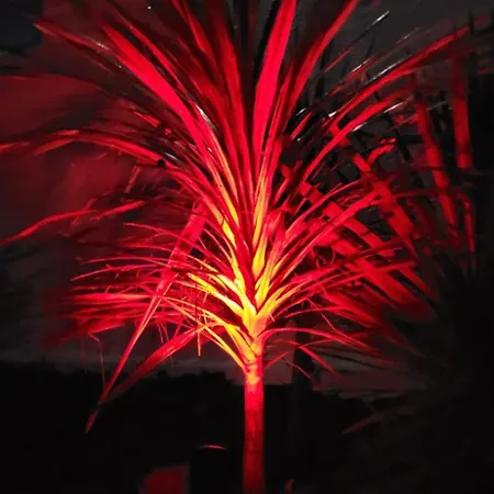 Casa Vitorino Сasa de vacaciones Leiria