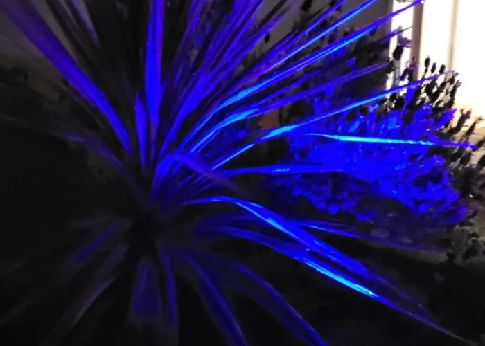 Casa Vitorino 別荘 レイリア