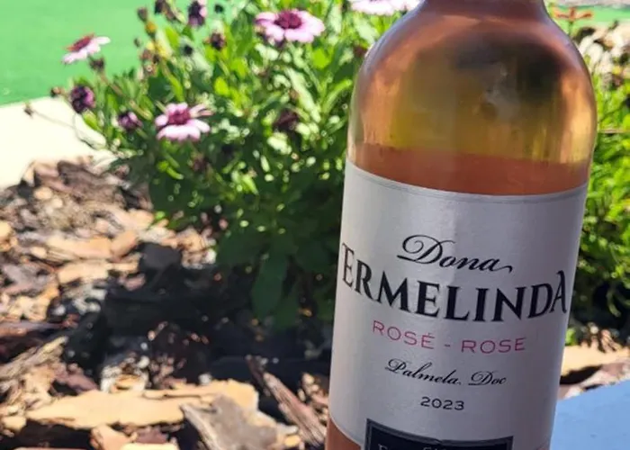 Casa Vitorino 別荘